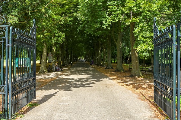 Medium property photo - Hart Nibbrigkade 64, 2597 XX Den Haag